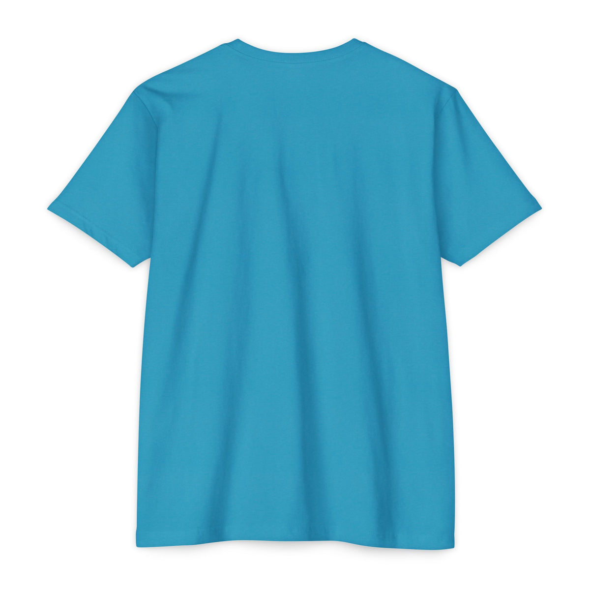 Introvert Jiu Jitsu Unisex CVC Jersey T-shirt