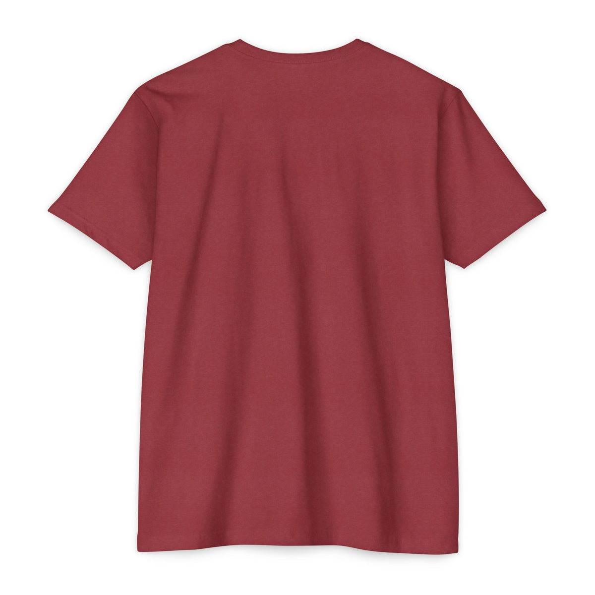 Introvert Jiu Jitsu Unisex CVC Jersey T-shirt