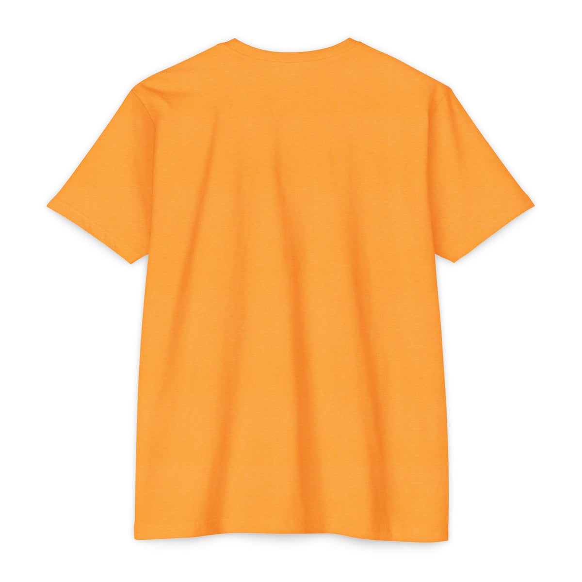 Introvert Jiu Jitsu Unisex CVC Jersey T-shirt