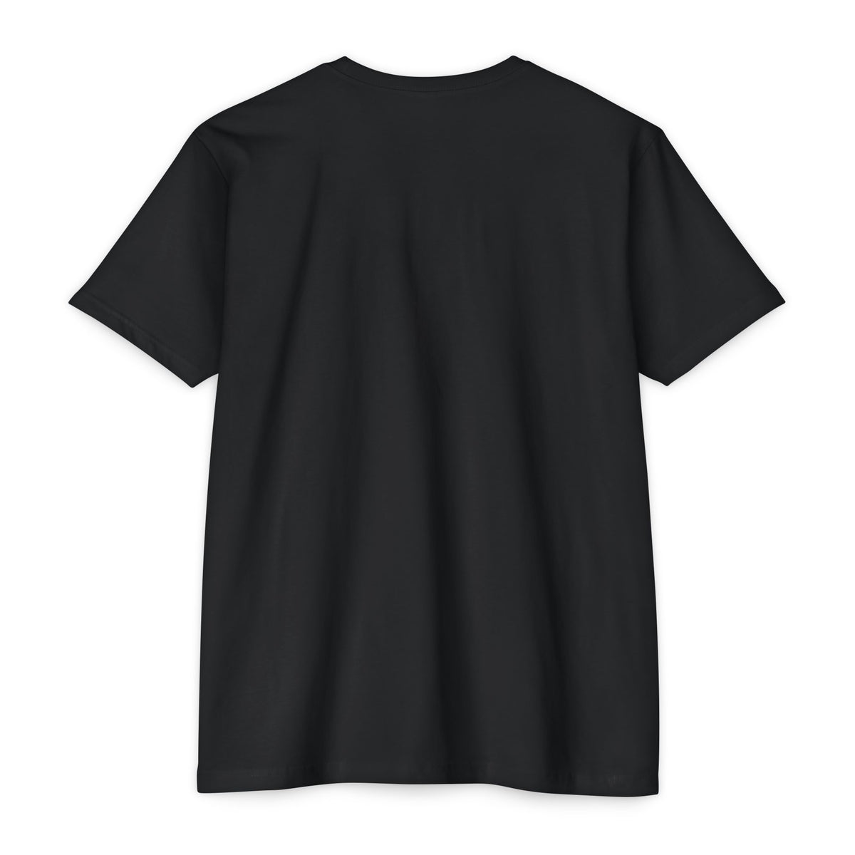 Introvert Jiu Jitsu Unisex CVC Jersey T-shirt