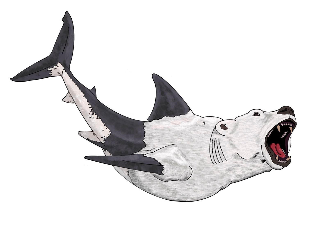 Flying BearShark - sticker
